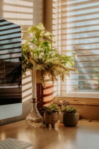 How to Create a Cozy and Productive Home Office Space